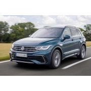 Tiguan (16-24 г)